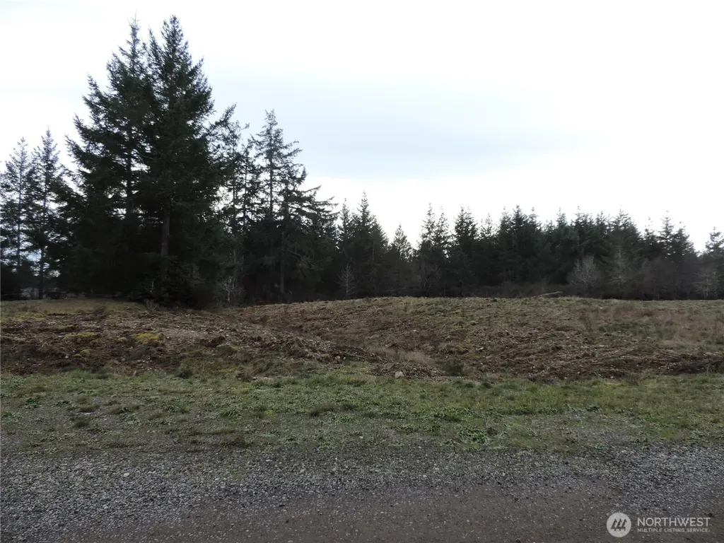 4 Cottonwood Grapeview WA 98546