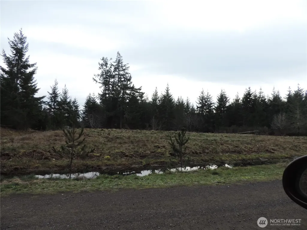 4 Cottonwood Grapeview WA 98546