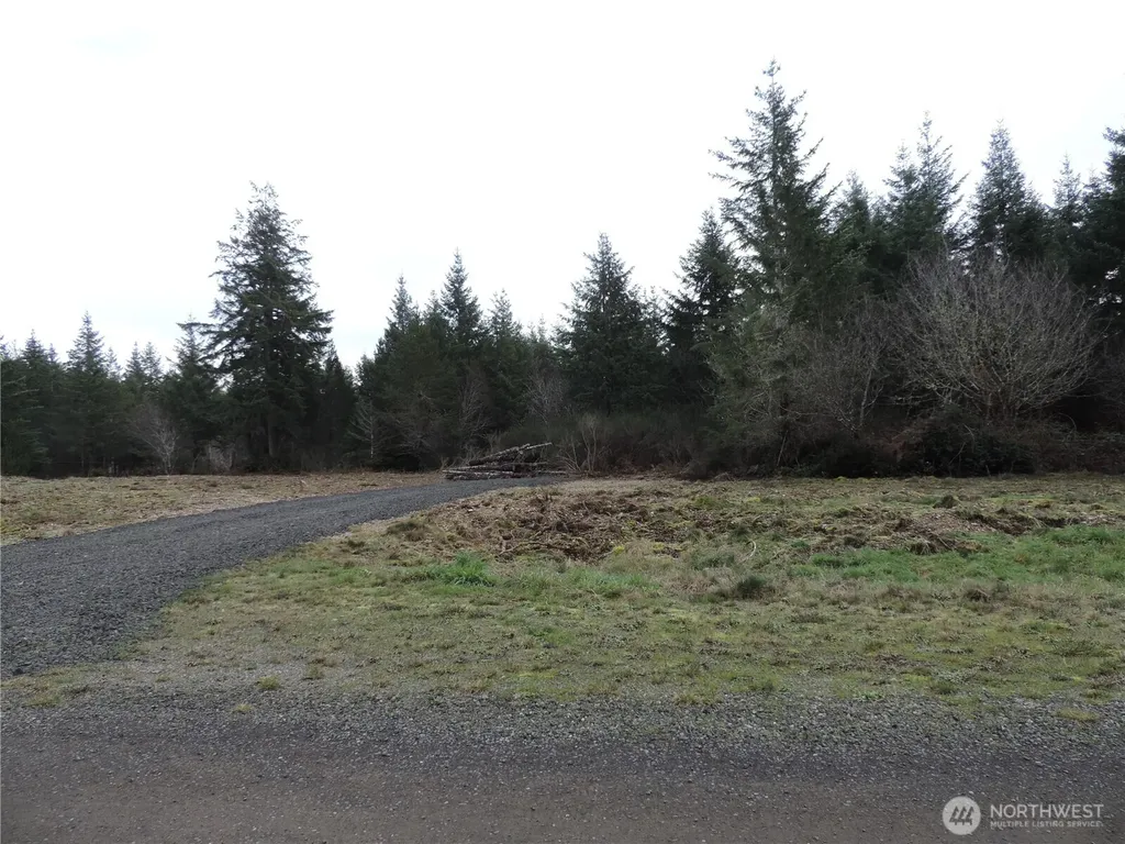 4 Cottonwood Grapeview WA 98546