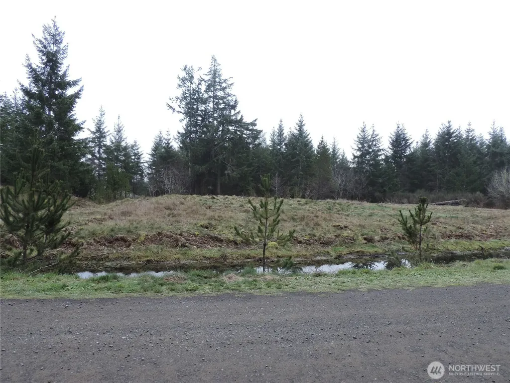 4 Cottonwood Grapeview WA 98546