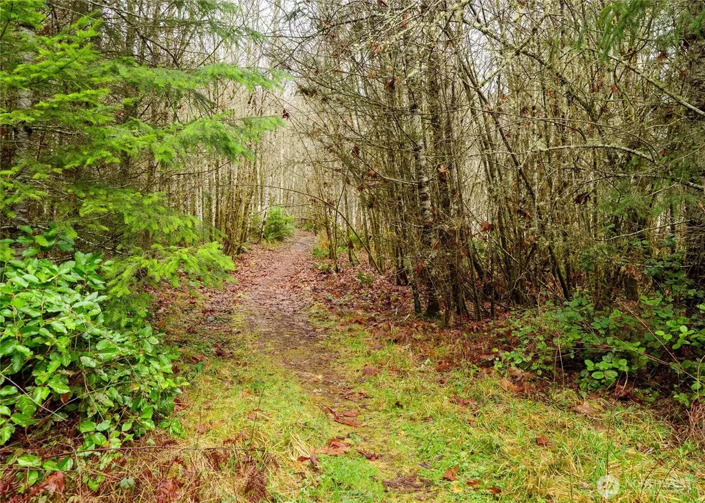 0 Scribner Road Port Angeles WA 98362