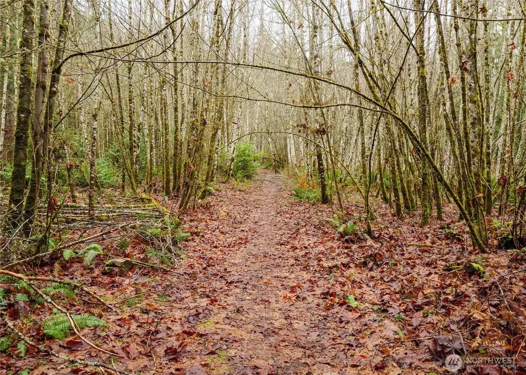 0 Scribner Road Port Angeles WA 98362