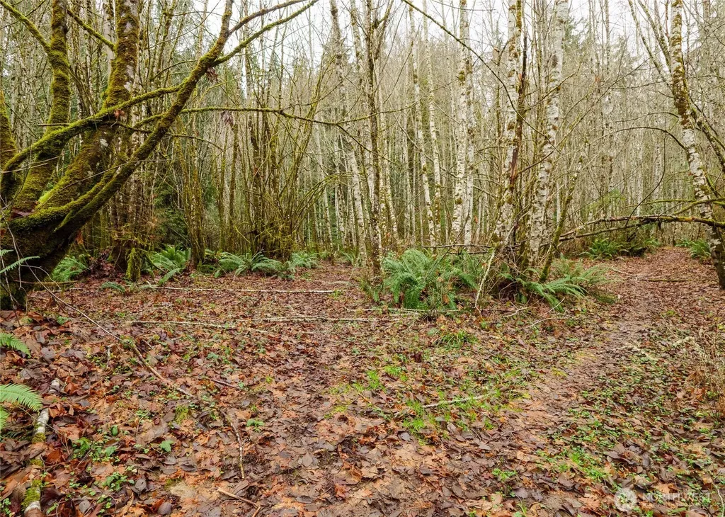 0 Scribner Road Port Angeles WA 98362
