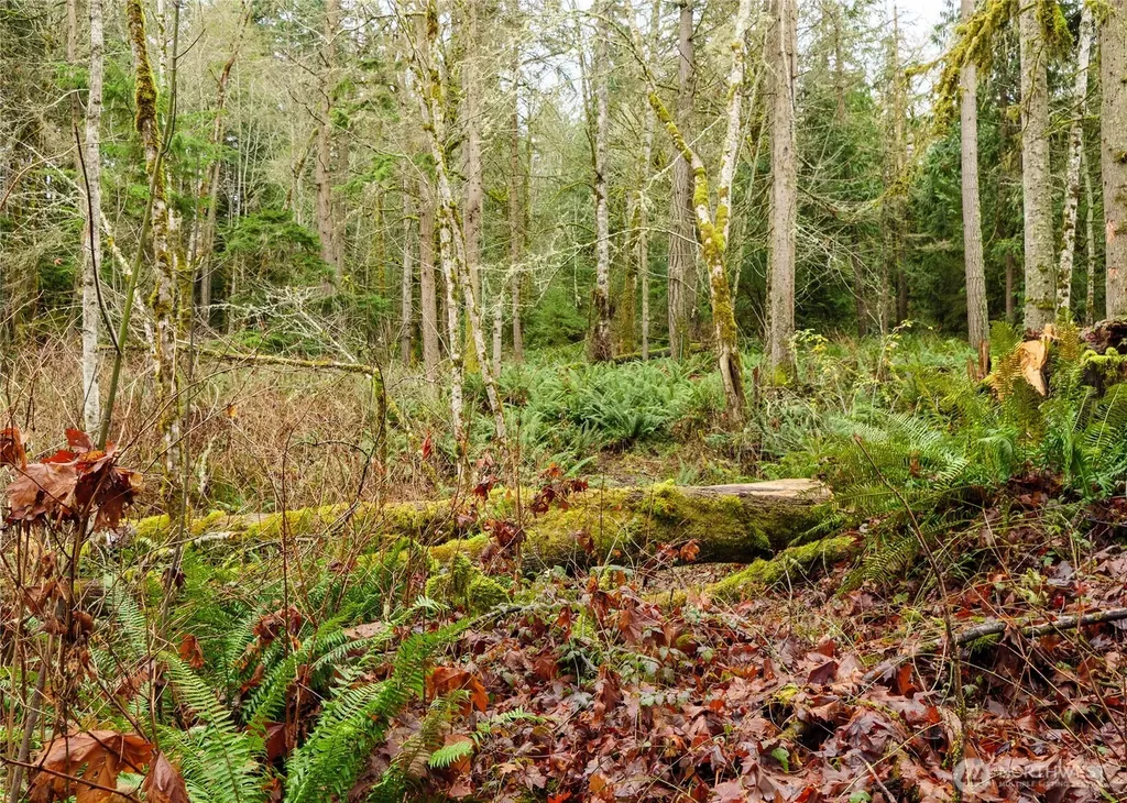 0 Scribner Road Port Angeles WA 98362