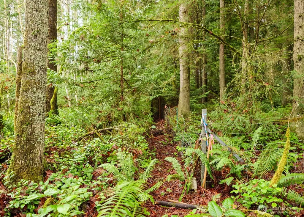 0 Scribner Road Port Angeles WA 98362