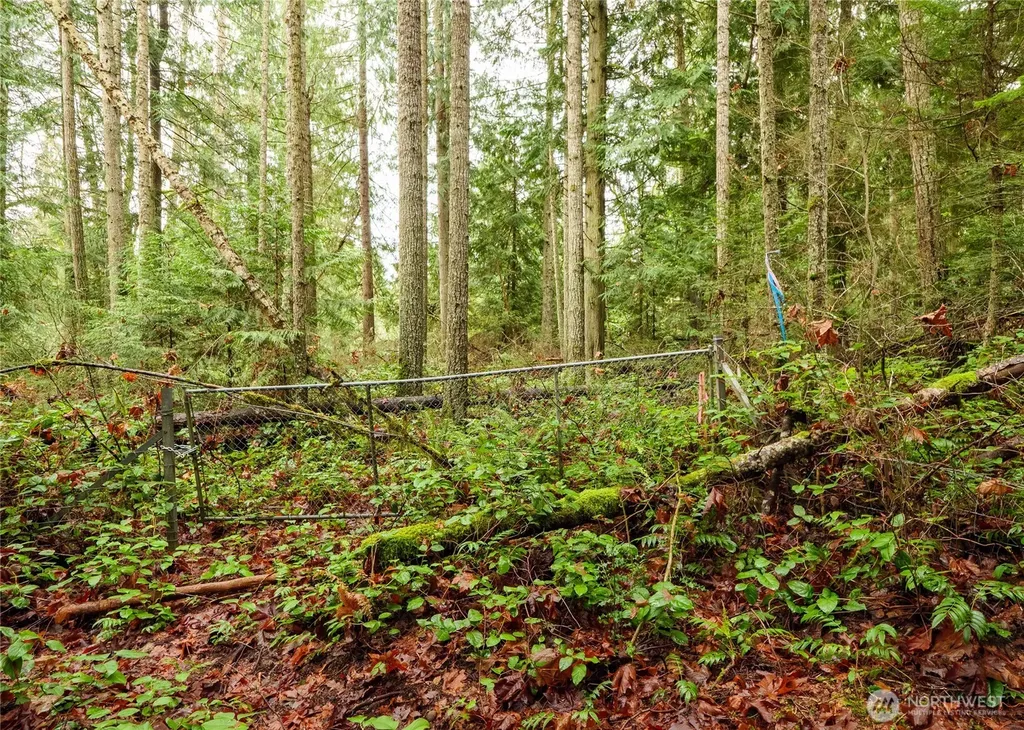 0 Scribner Road Port Angeles WA 98362