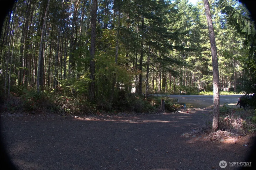 321 Lakewood Drive Hoodsport WA 98548