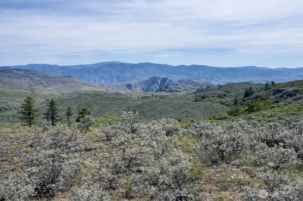 4 Tbd Ellemeham Mountain Road Oroville WA 98844