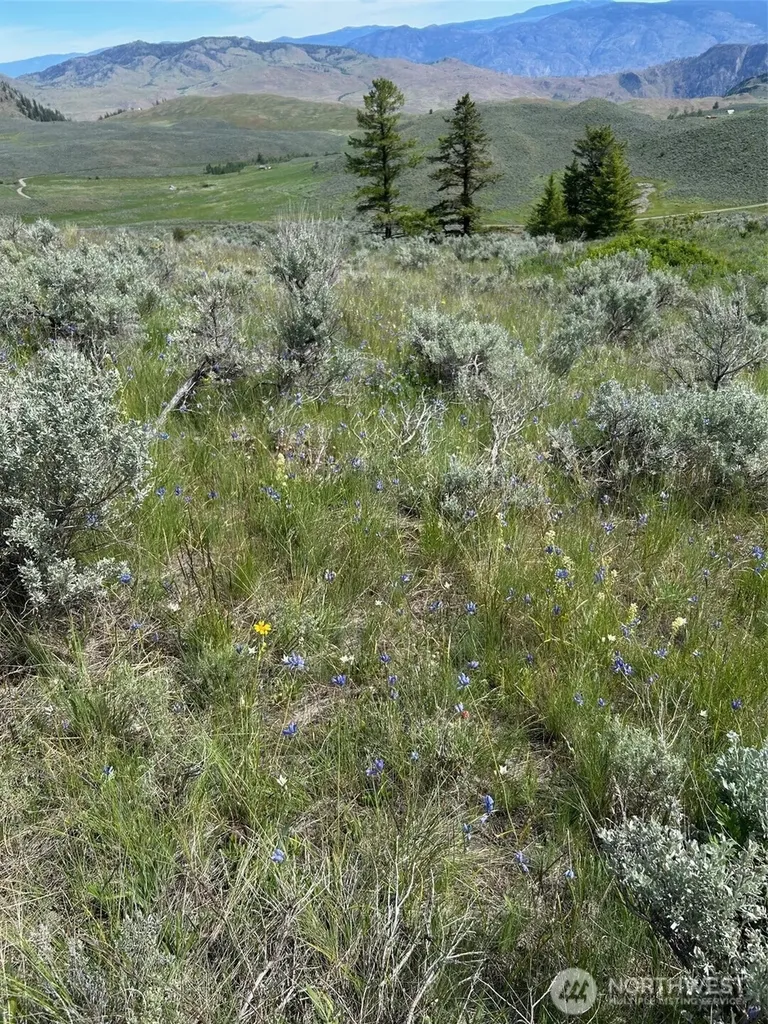 2 Tbd Ellemeham Mountain Road Oroville WA 98844