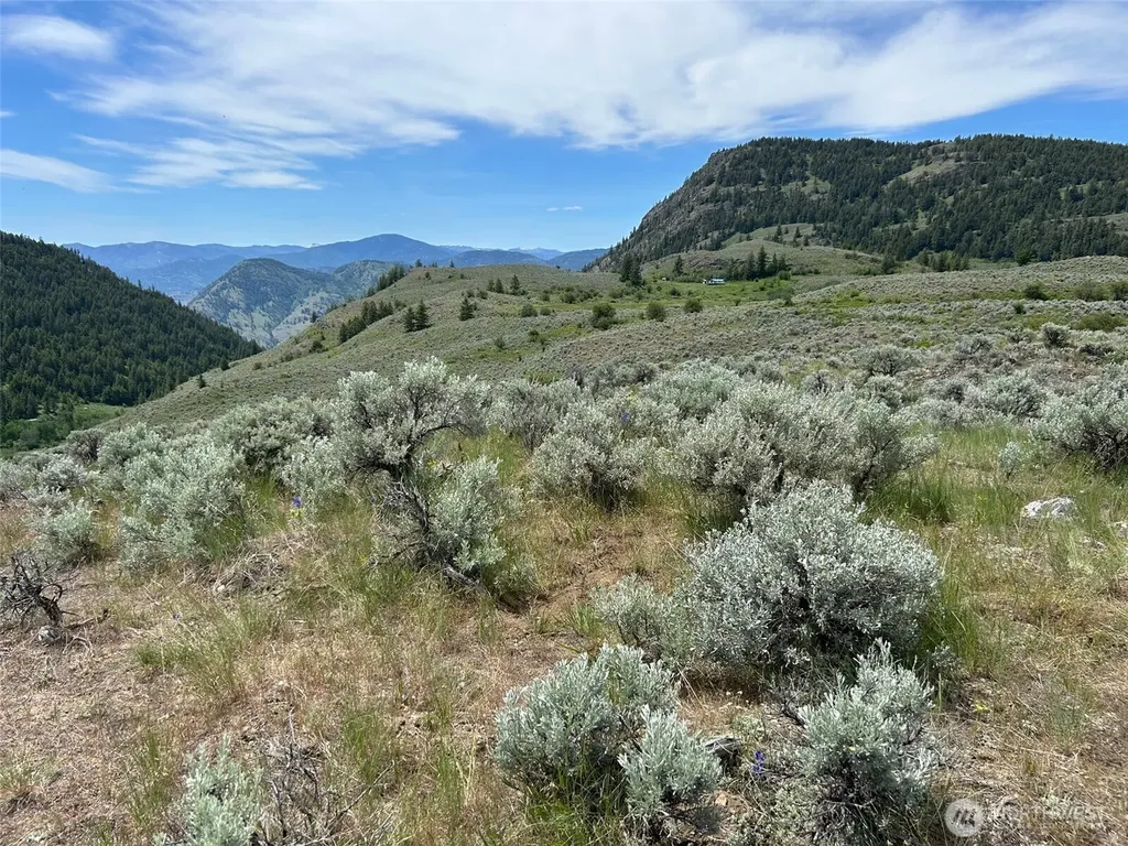 2 Tbd Ellemeham Mountain Road Oroville WA 98844