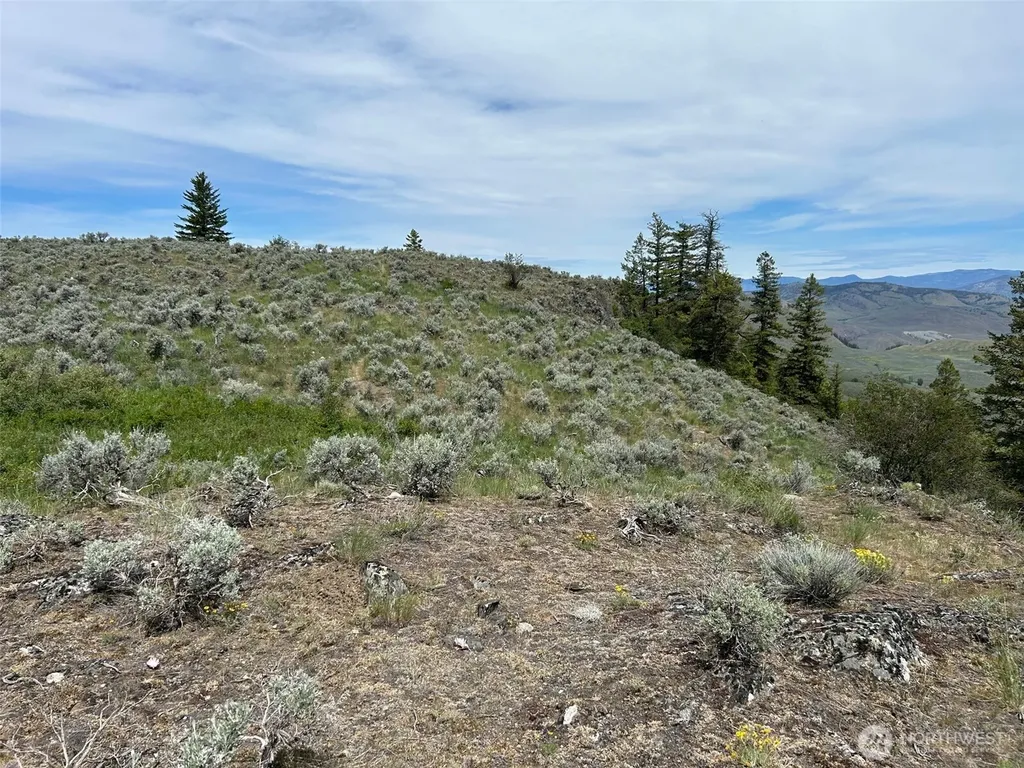 2 Tbd Ellemeham Mountain Road Oroville WA 98844