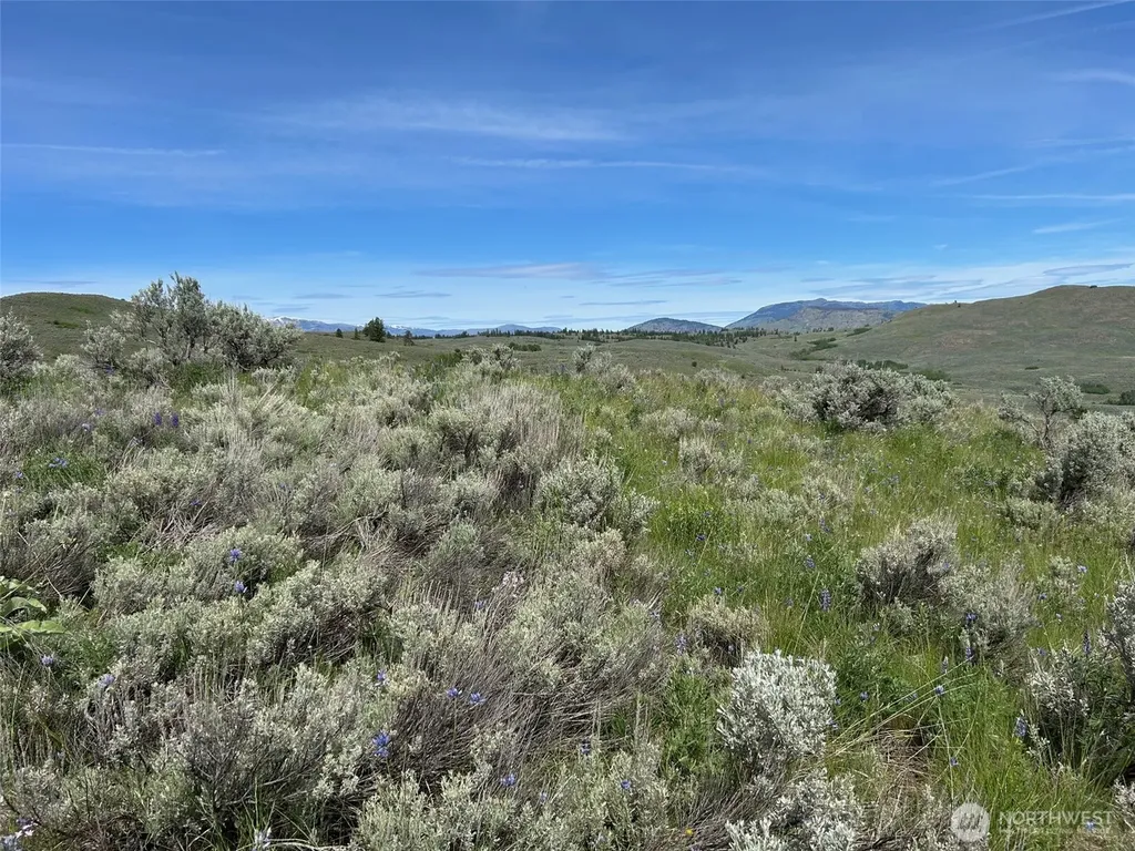 3 Tbd Ellemeham Mountain Road Oroville WA 98844