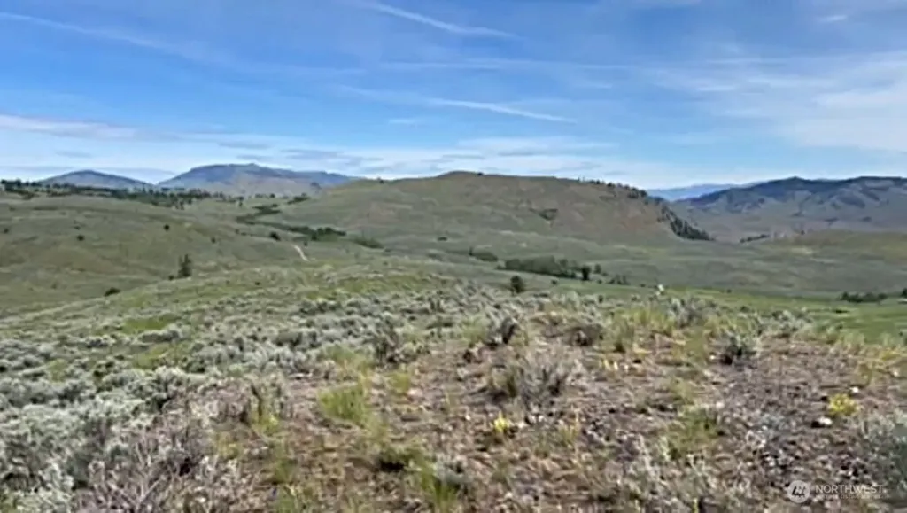 3 Tbd Ellemeham Mountain Road Oroville WA 98844