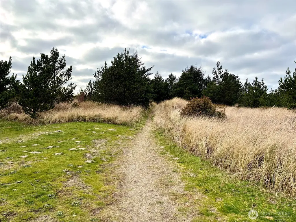 1215 199th Place Long Beach WA 98631