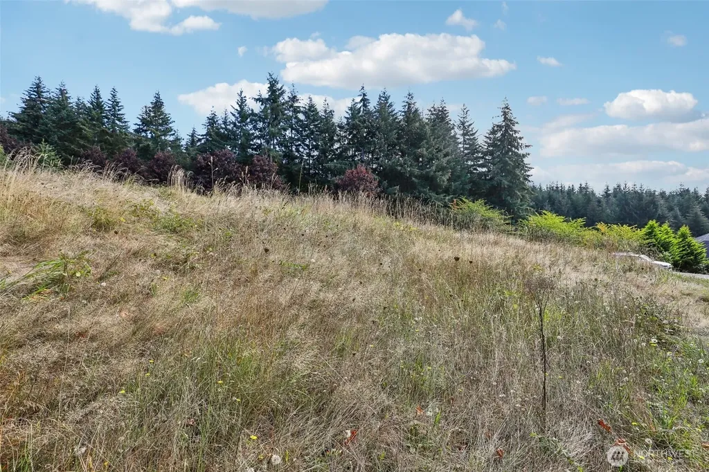 168 Upland Drive Woodland WA 98674
