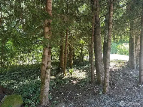 45263 Tillicum Trail Concrete WA 98237