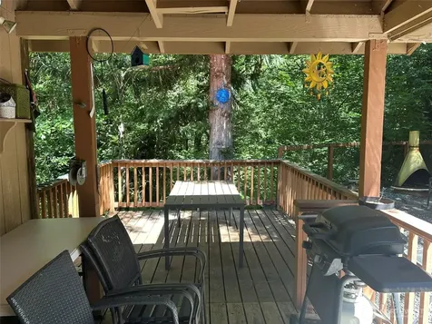 45263 Tillicum Trail Concrete WA 98237