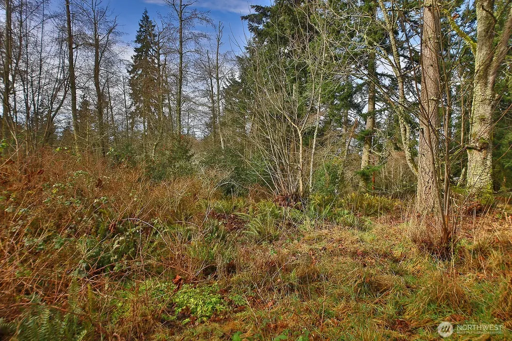 0 Goss Lake Road Freeland WA 98249