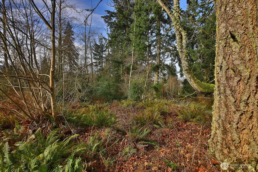 0 Goss Lake Road Freeland WA 98249