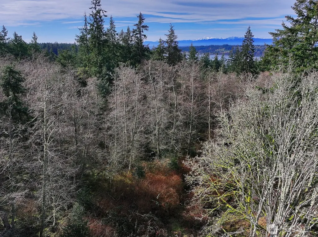 0 Goss Lake Road Freeland WA 98249