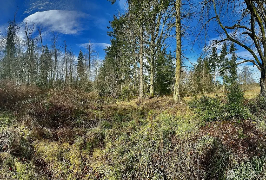 0 Goss Lake Road Freeland WA 98249