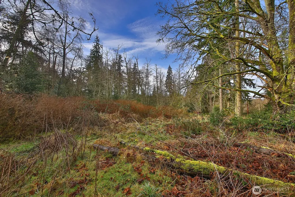 0 Goss Lake Road Freeland WA 98249