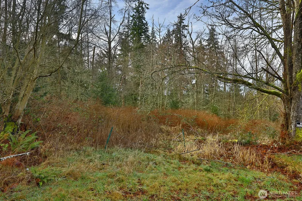 0 Goss Lake Road Freeland WA 98249