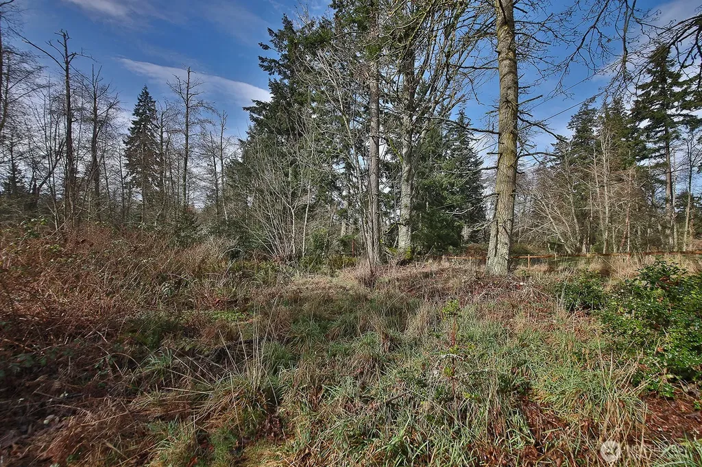 0 Goss Lake Road Freeland WA 98249