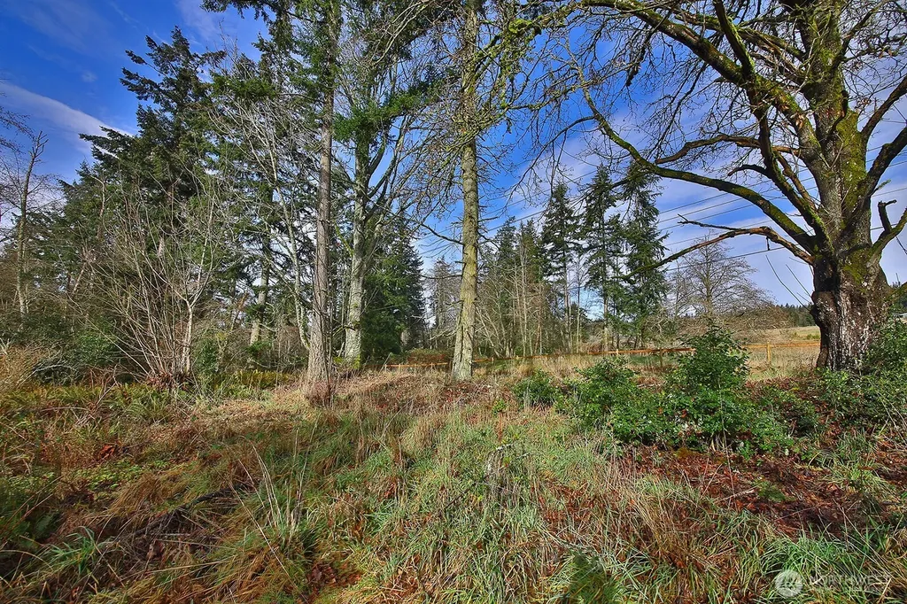 0 Goss Lake Road Freeland WA 98249