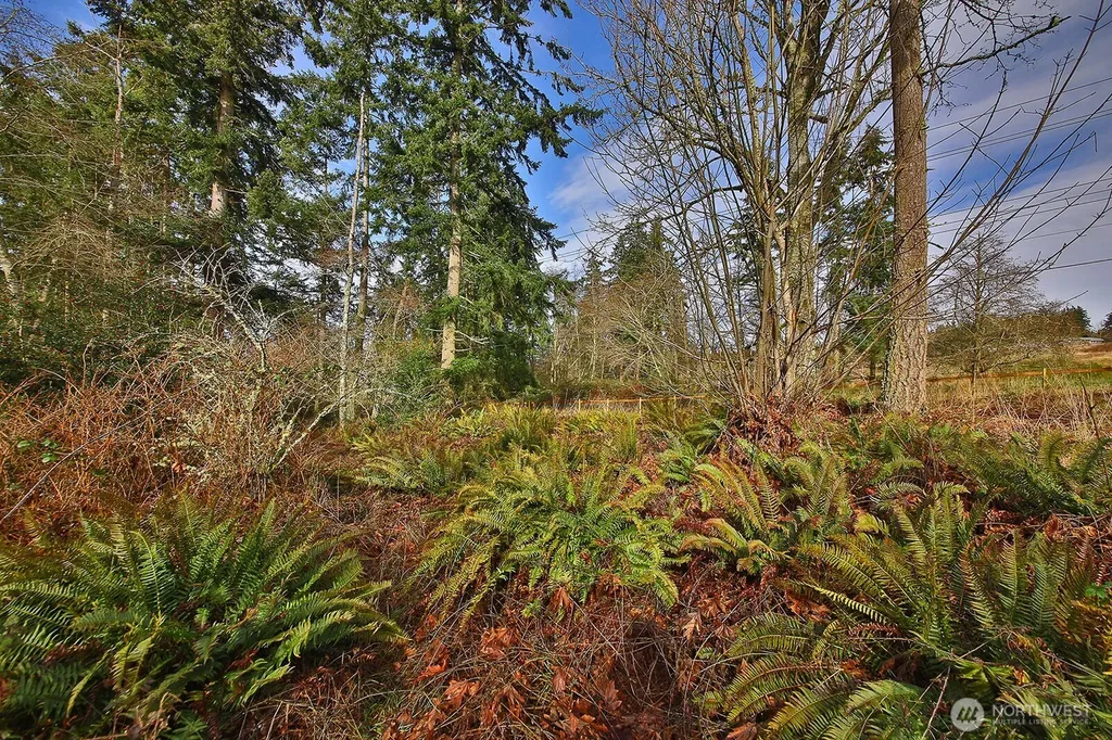 0 Goss Lake Road Freeland WA 98249