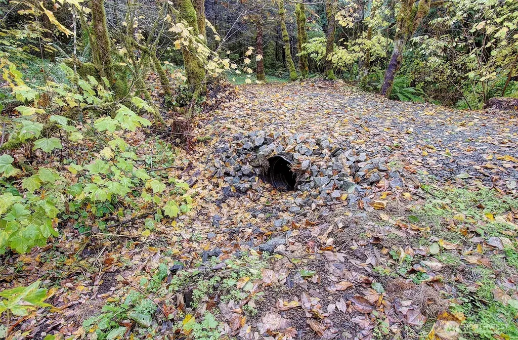 133 Lost Creek Drive Glenoma WA 98336