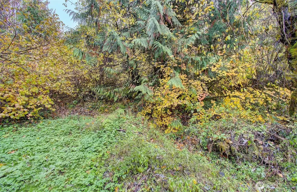 133 Lost Creek Drive Glenoma WA 98336