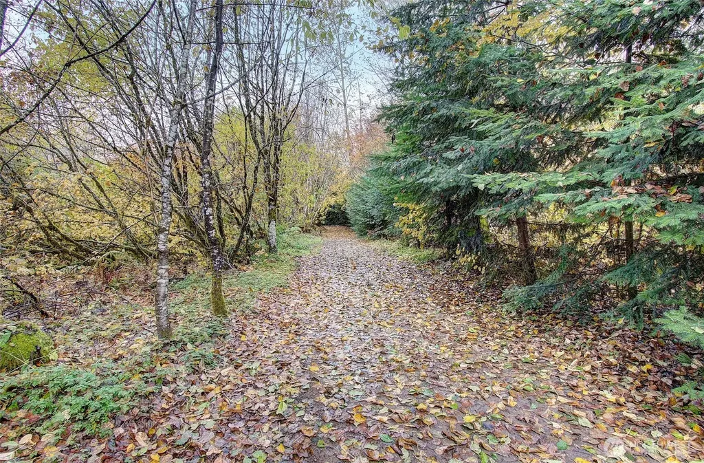 133 Lost Creek Drive Glenoma WA 98336