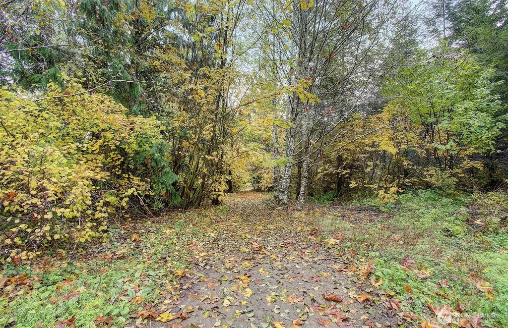 133 Lost Creek Drive Glenoma WA 98336