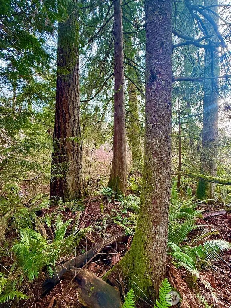 20403 SE 248th Street Maple Valley WA 98038