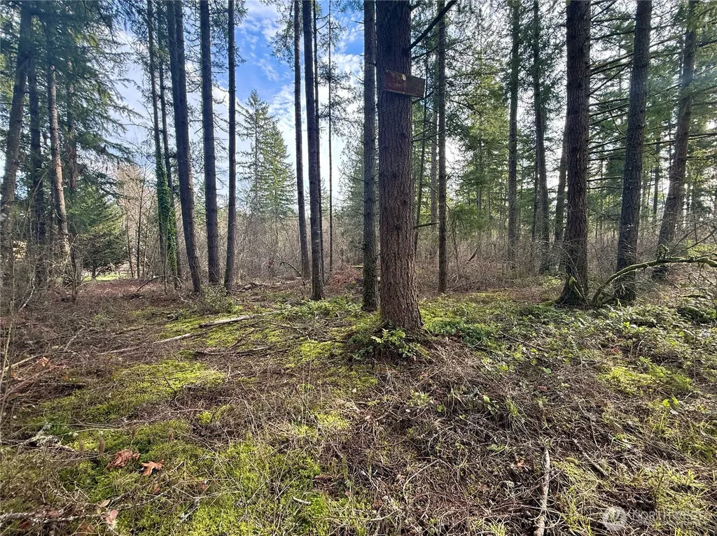 20403 SE 248th Street Maple Valley WA 98038