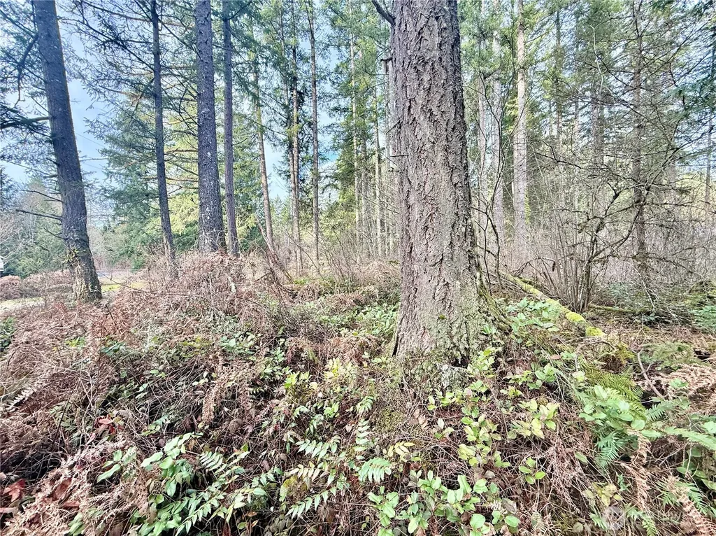 20403 SE 248th Street Maple Valley WA 98038
