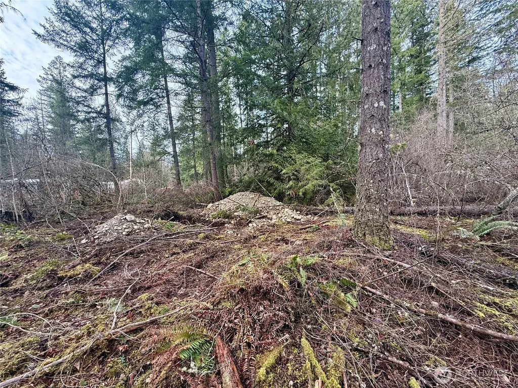 20403 SE 248th Street Maple Valley WA 98038