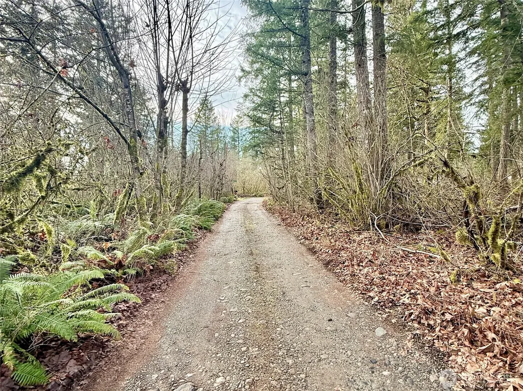 20403 SE 248th Street Maple Valley WA 98038