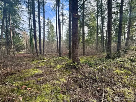 20403 SE 248th Street Maple Valley WA 98038