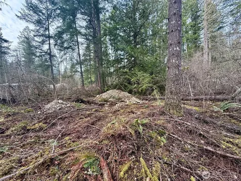 20403 SE 248th Street Maple Valley WA 98038