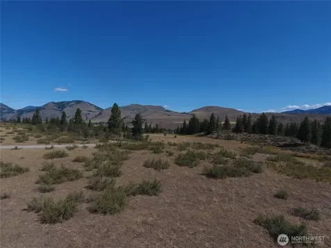 1 Perrow Drive Winthrop WA 98862