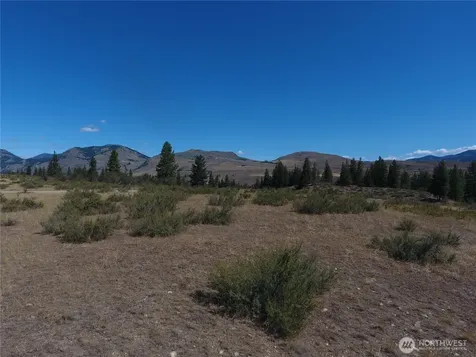 1 Perrow Drive Winthrop WA 98862