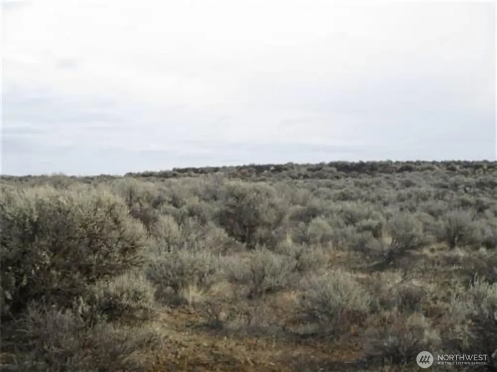 0 Lot 48 Settler Lane Ephrata WA 98823