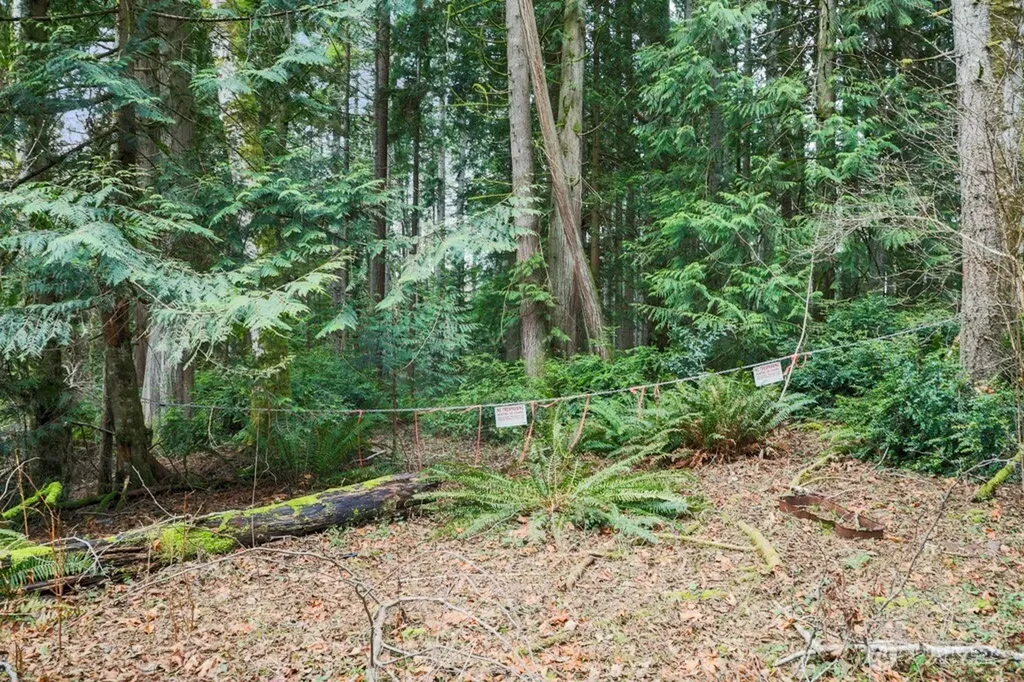 0 Martin Avenue E Port Orchard WA 98366