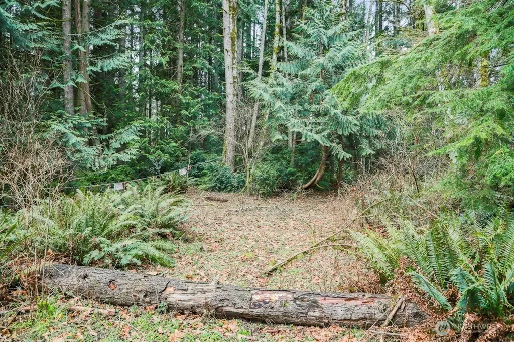 0 Martin Avenue E Port Orchard WA 98366