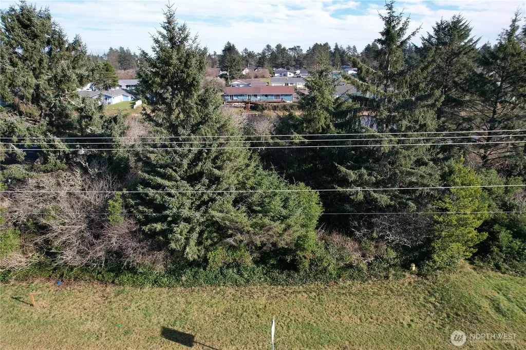 466 Point Brown Avenue NE Ocean Shores WA 98569