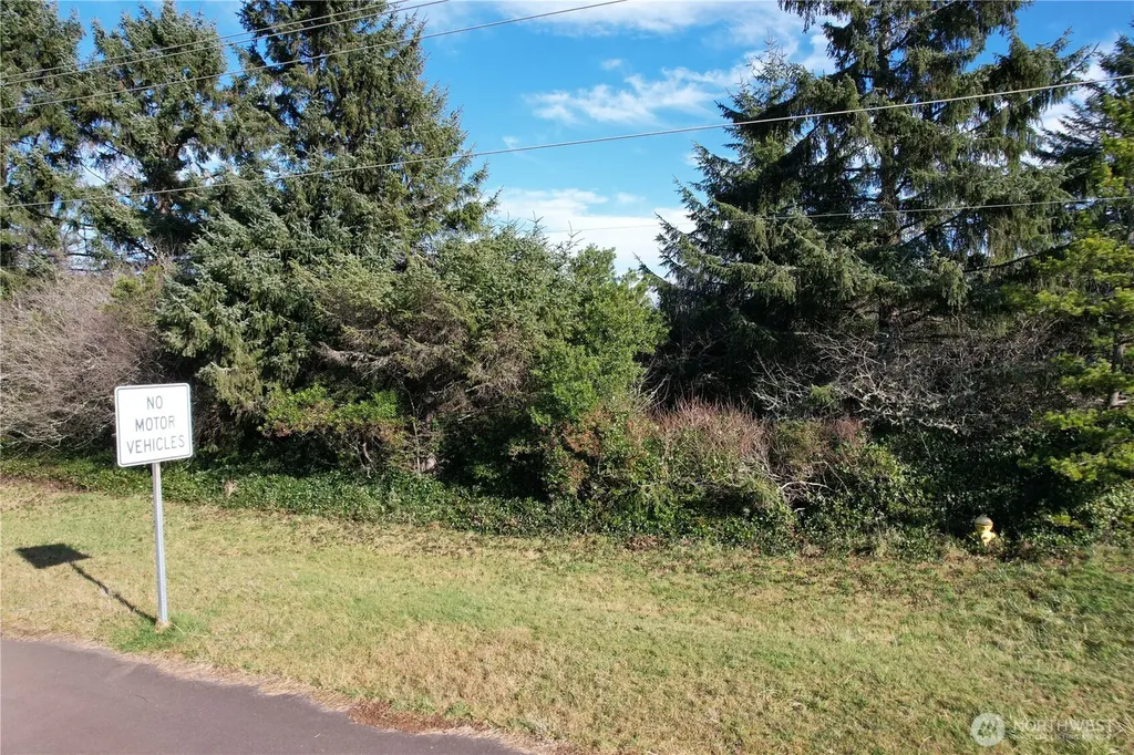 466 Point Brown Avenue NE Ocean Shores WA 98569