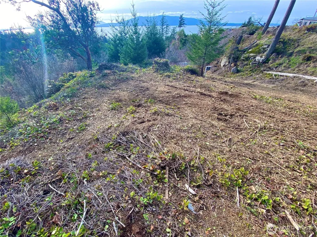 417 Arbutus Place Bellingham WA 98225