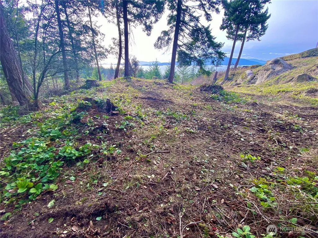 417 Arbutus Place Bellingham WA 98225